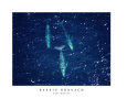 Barrie Rokeach - Grey Whales