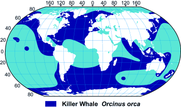 orca (killer whale) range map